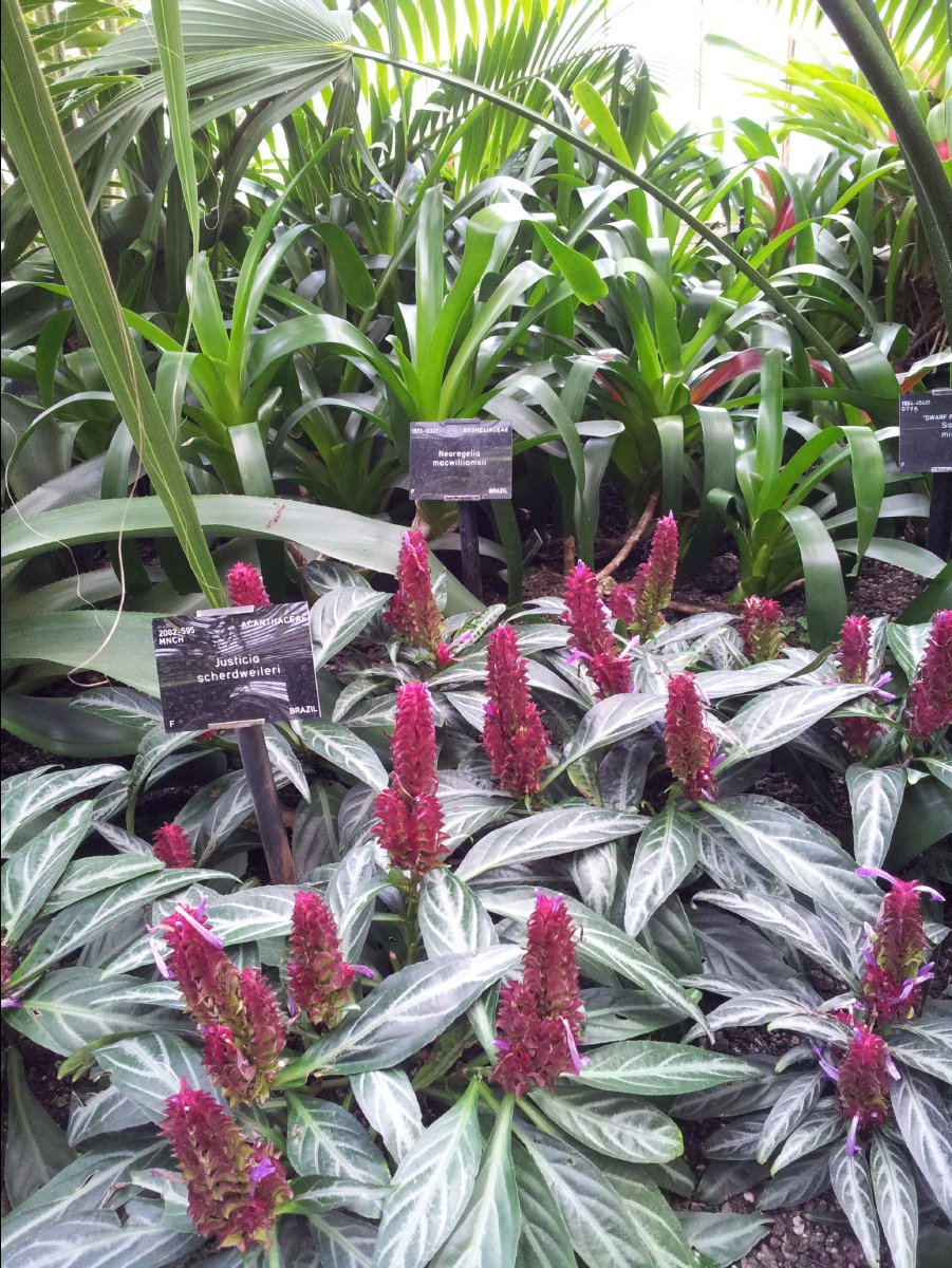 Kew_Garden026