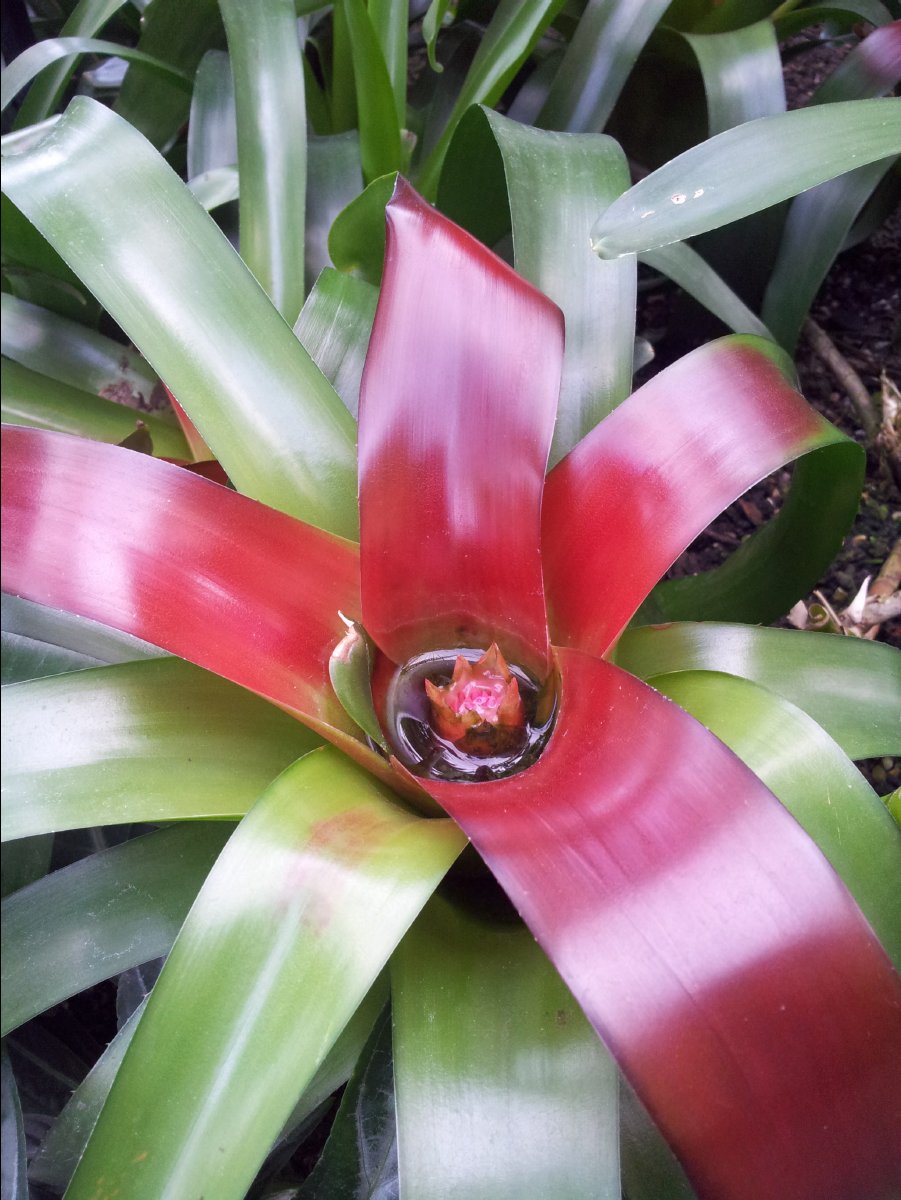 Kew_Garden027