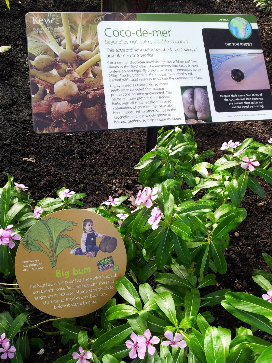 Kew_Garden029