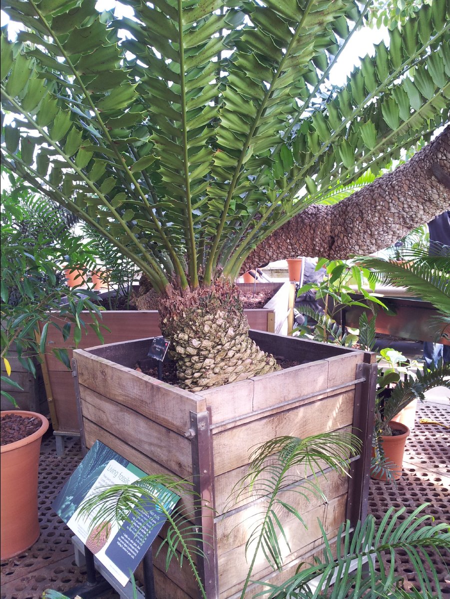 Kew_Garden030