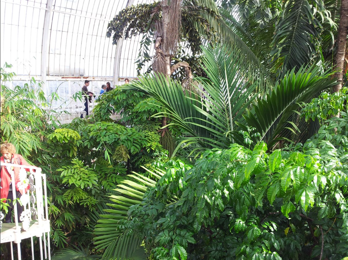Kew_Garden033
