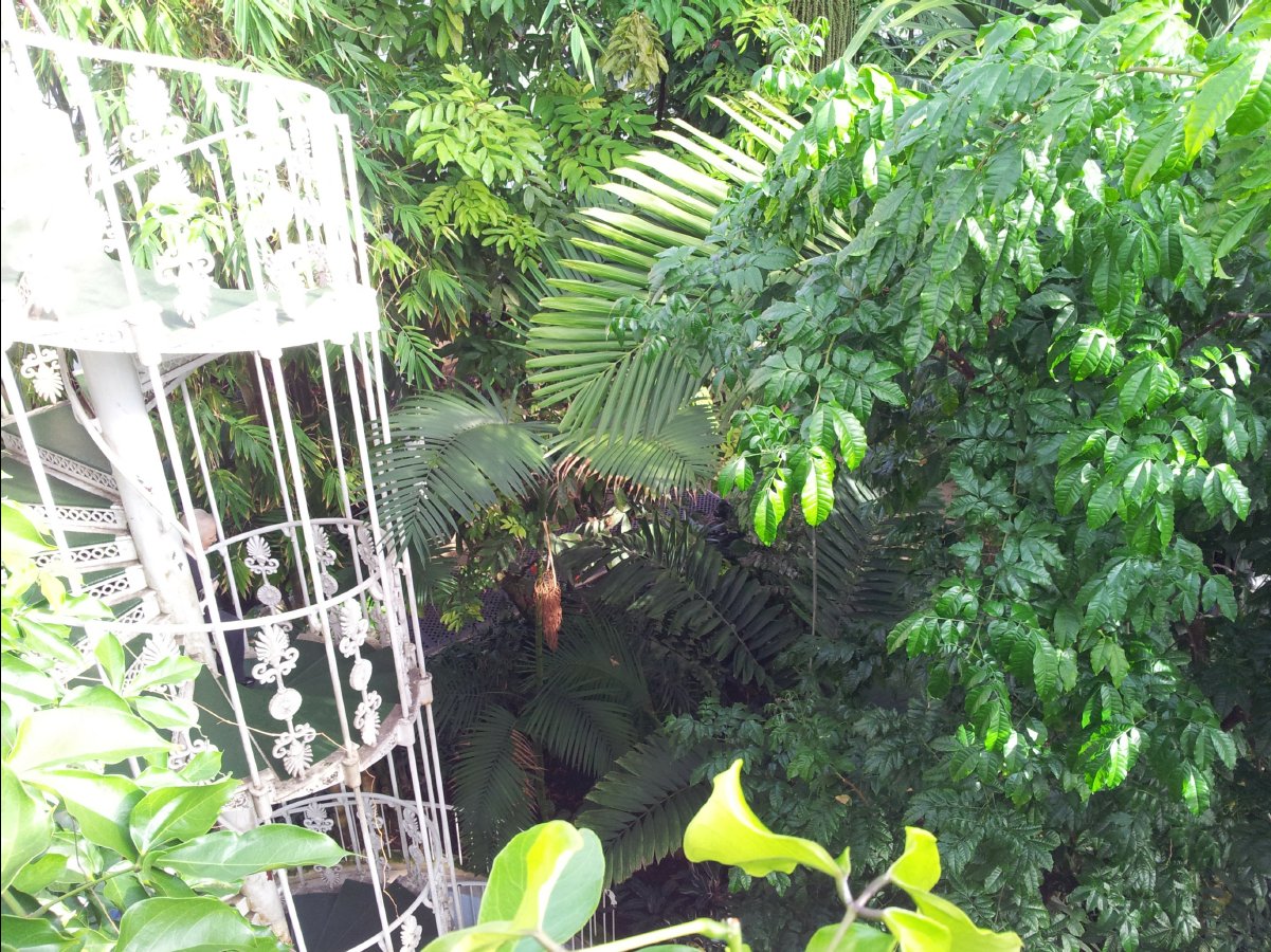 Kew_Garden034