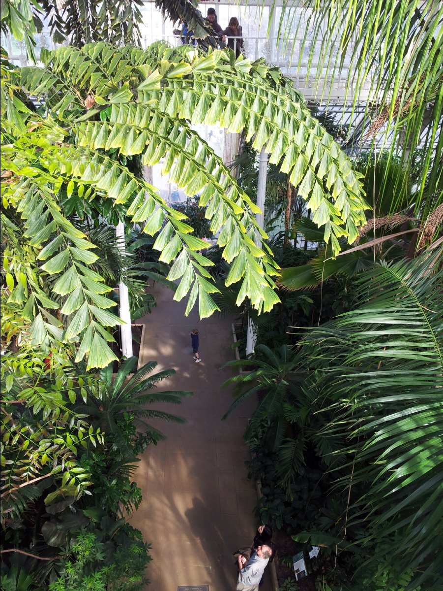 Kew_Garden035