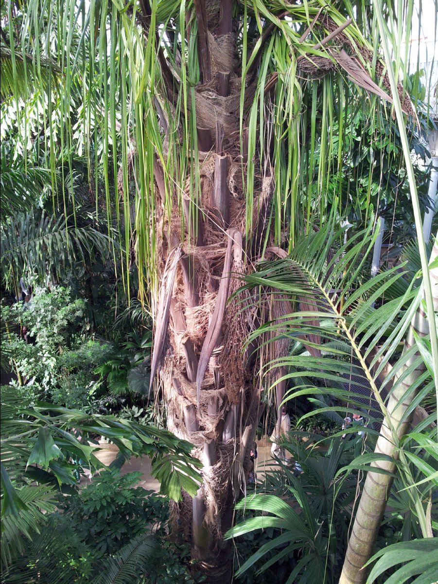 Kew_Garden037
