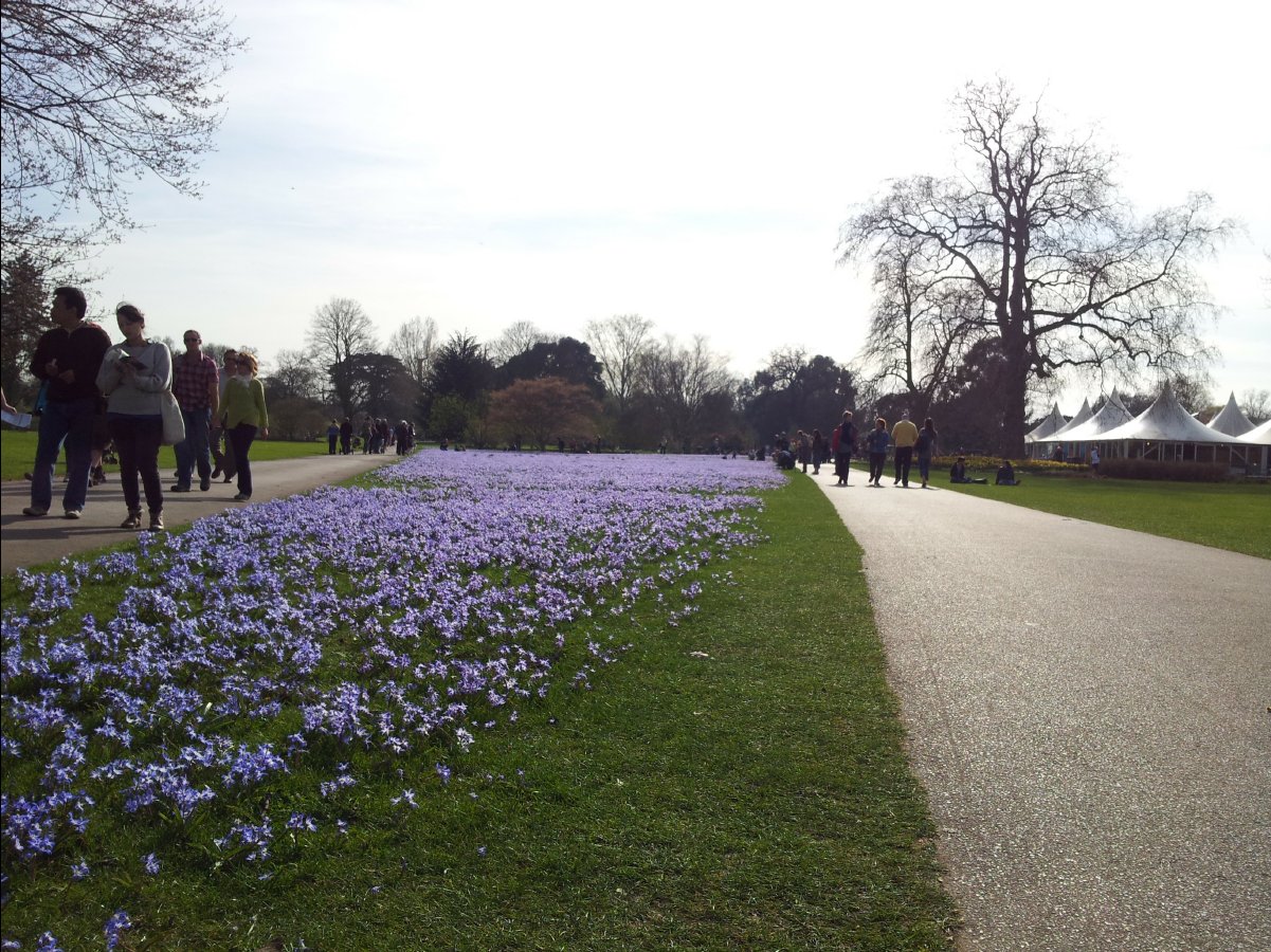 Kew_Garden040