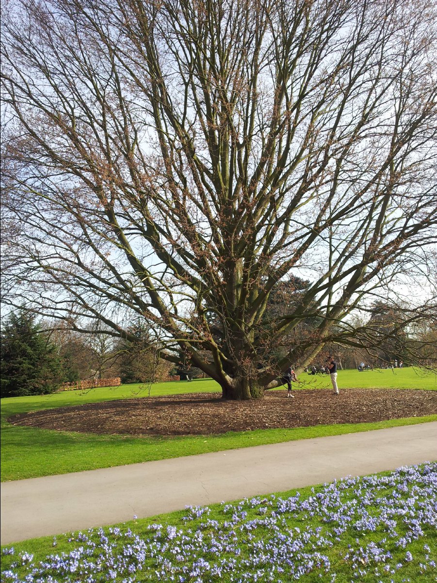 Kew_Garden041