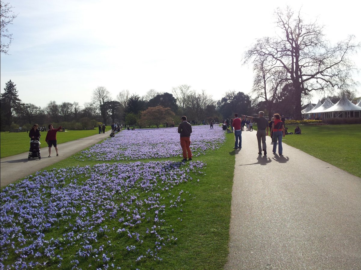 Kew_Garden042