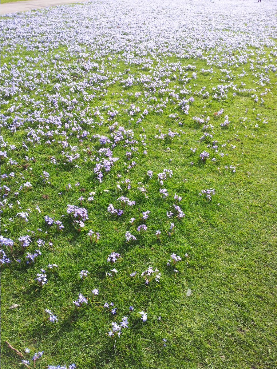Kew_Garden043