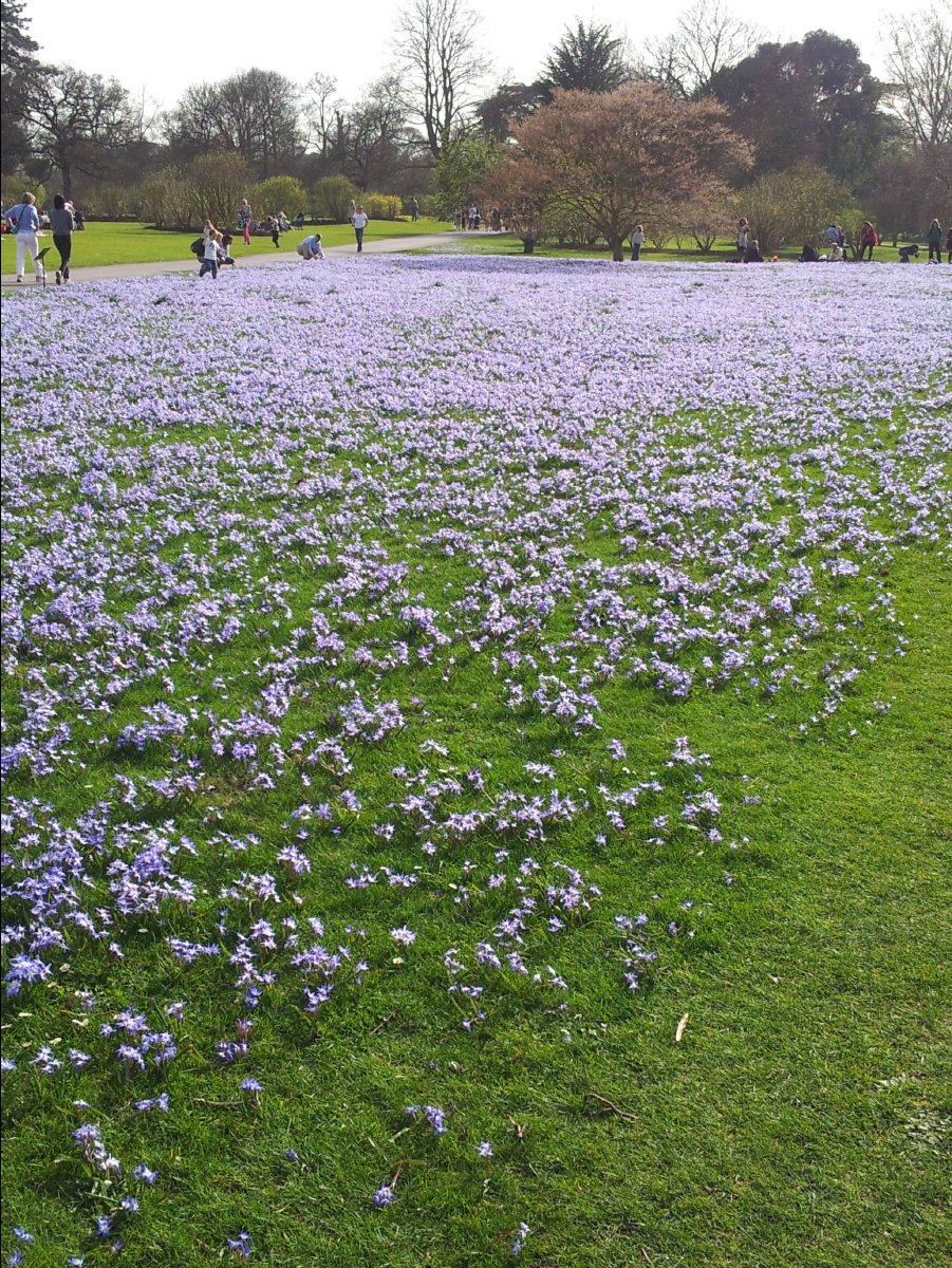 Kew_Garden046