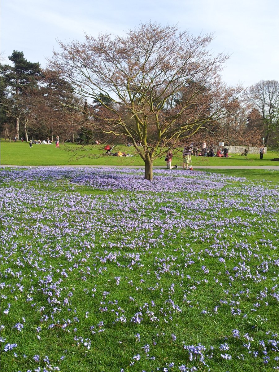Kew_Garden047