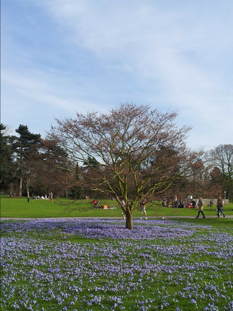 Kew_Garden048