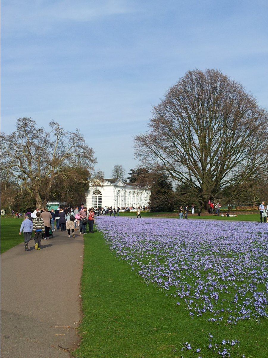 Kew_Garden049