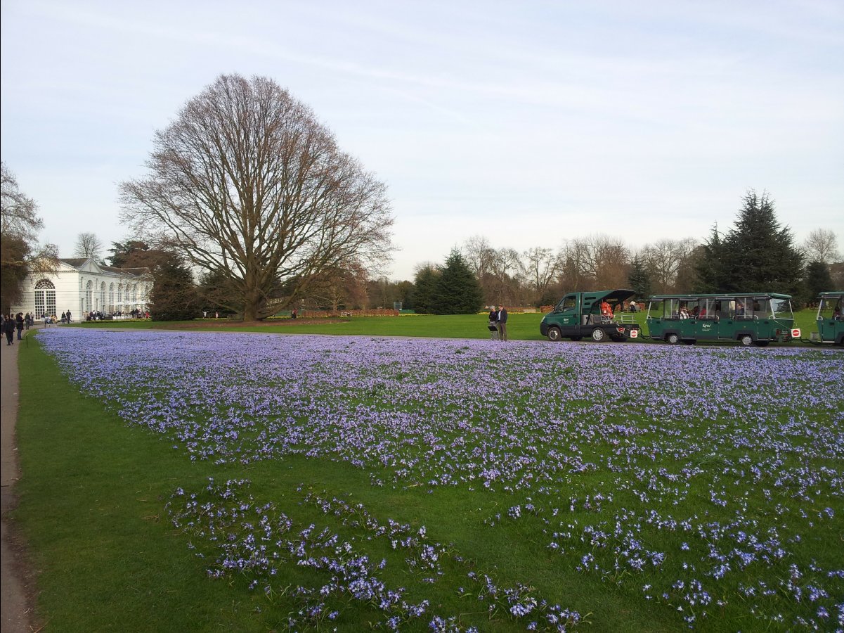 Kew_Garden053