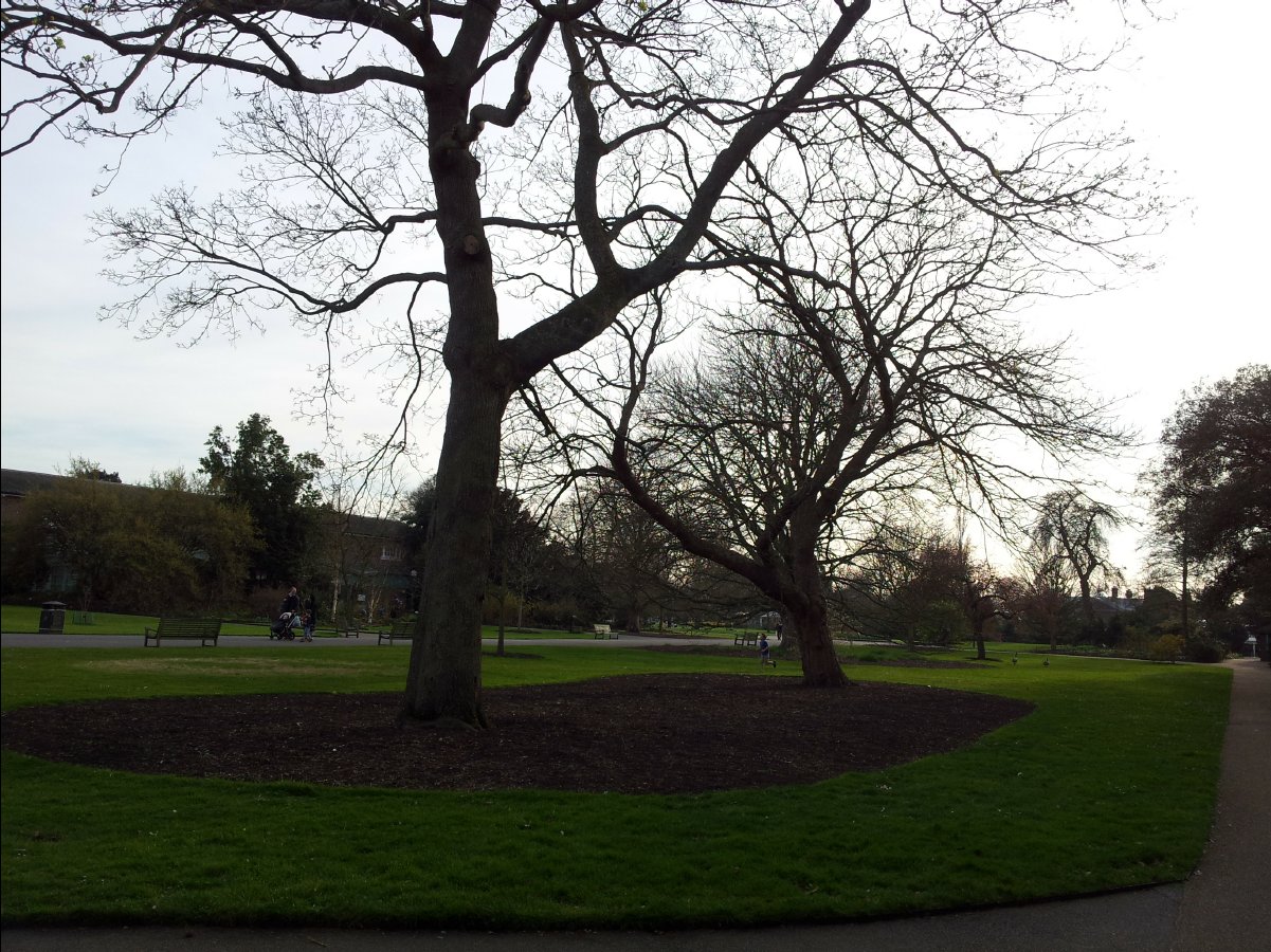 Kew_Garden065