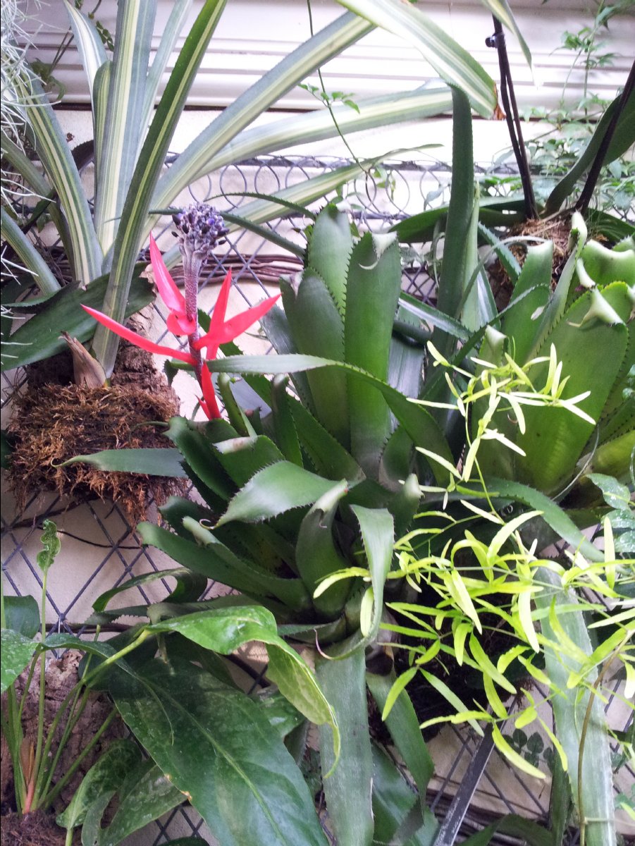 Kew_Garden075