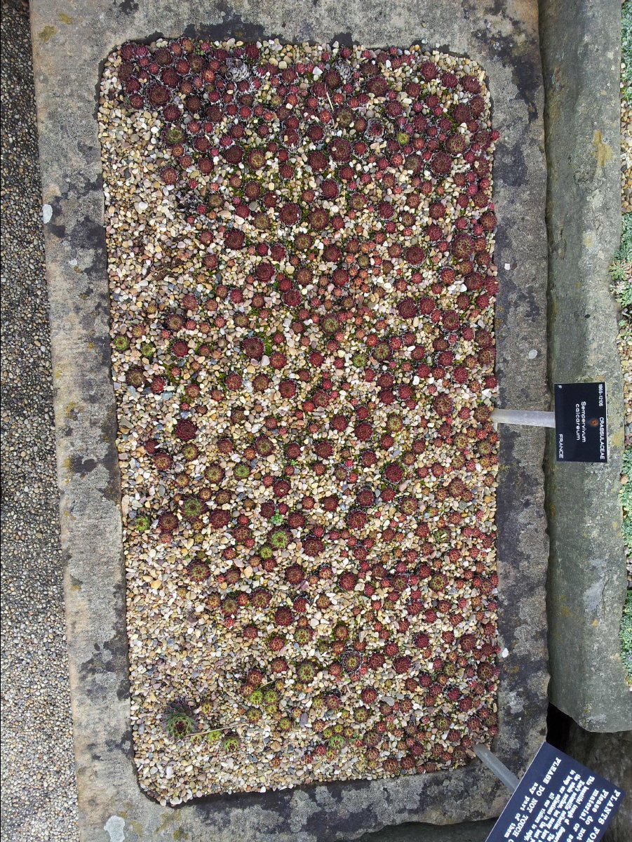 Kew_Garden083