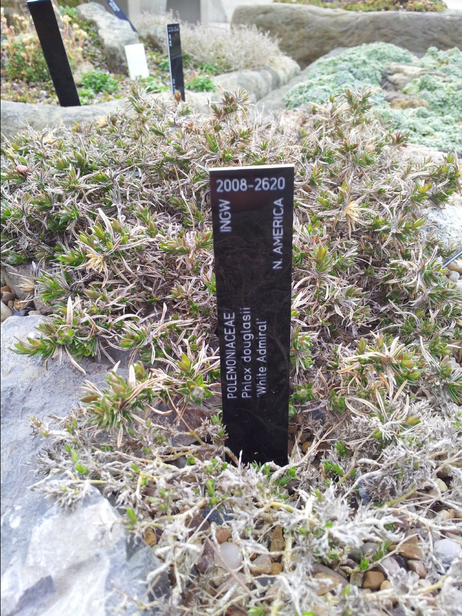 Kew_Garden088