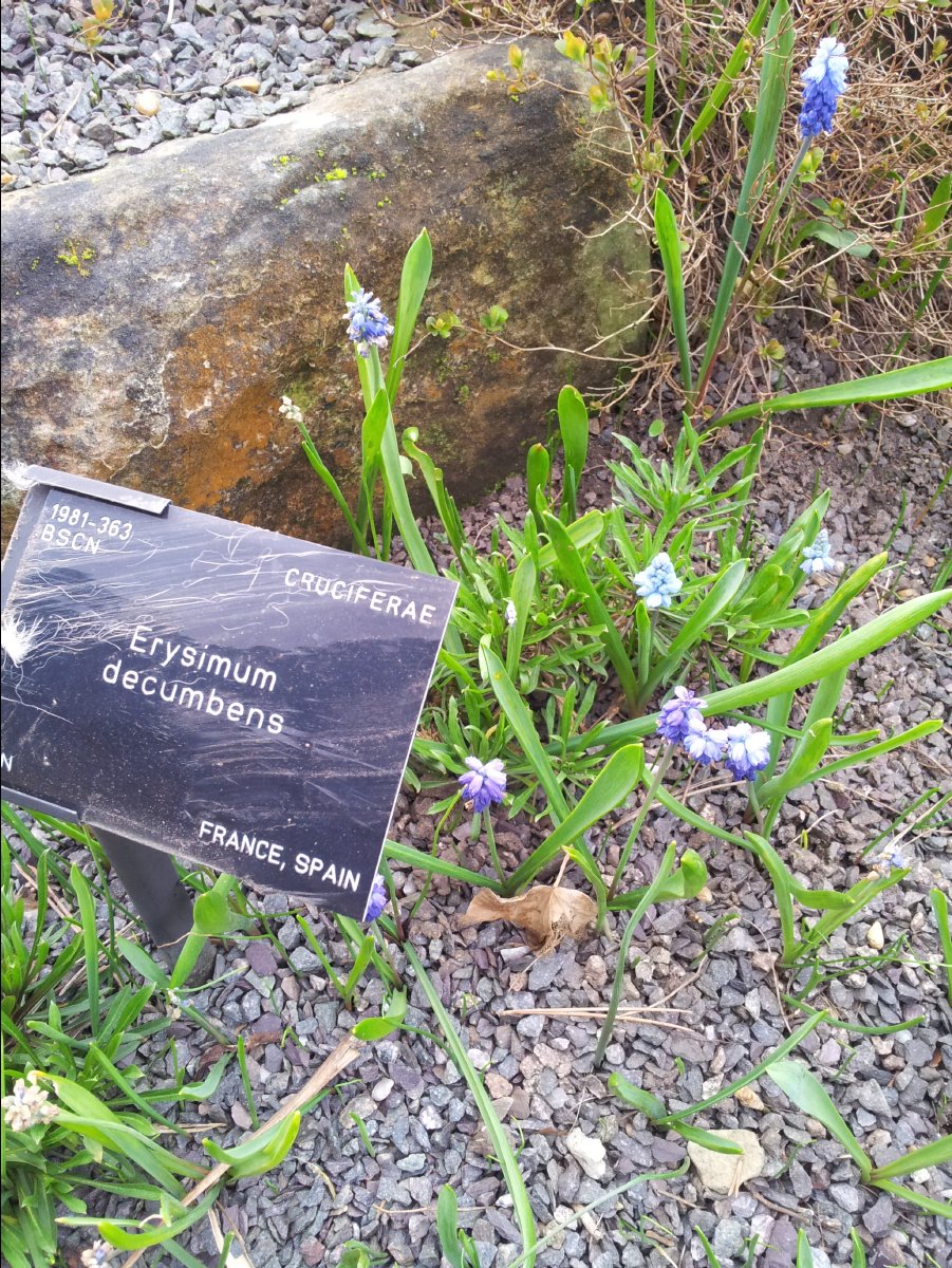Kew_Garden089