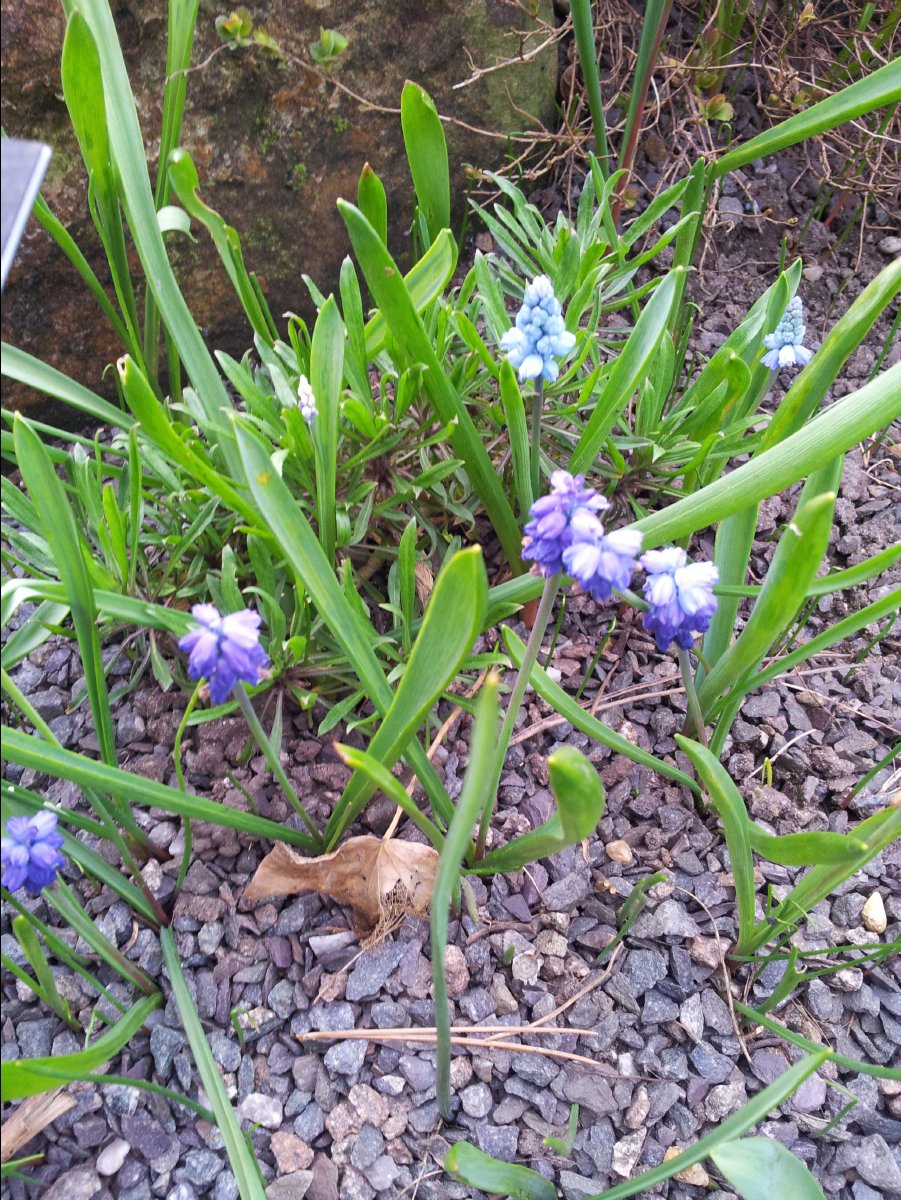 Kew_Garden090
