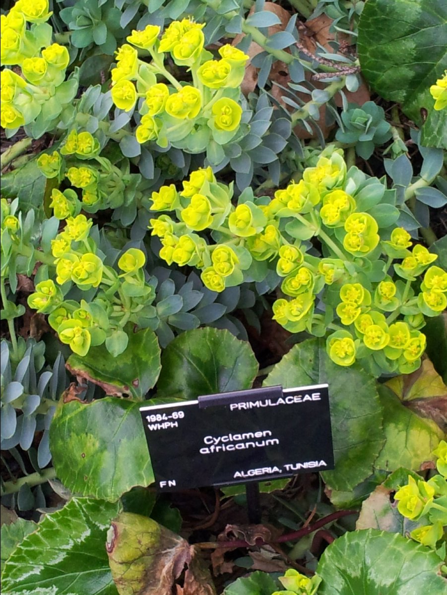 Kew_Garden093