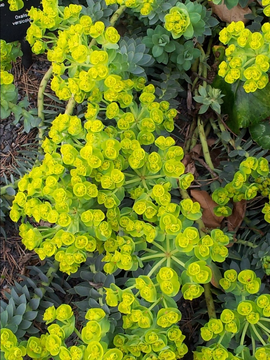 Kew_Garden094