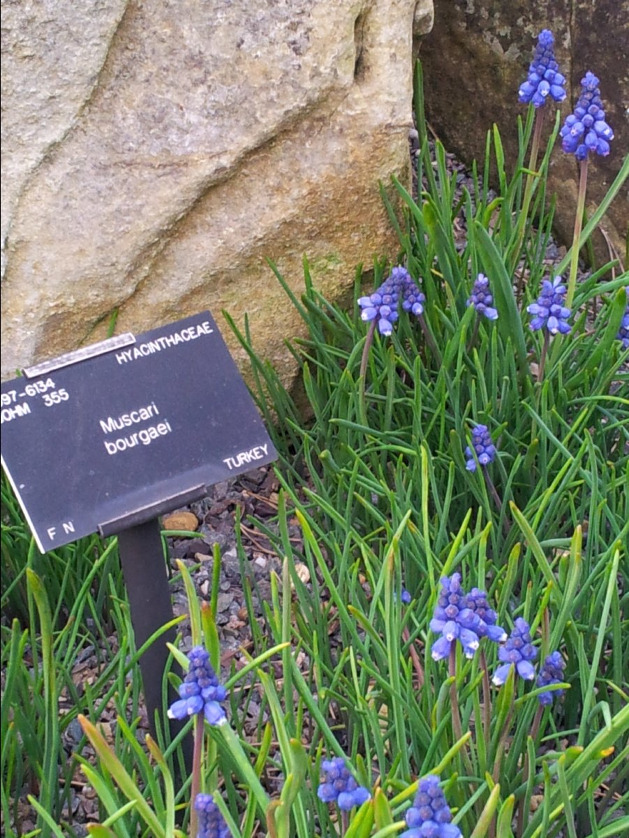 Kew_Garden095