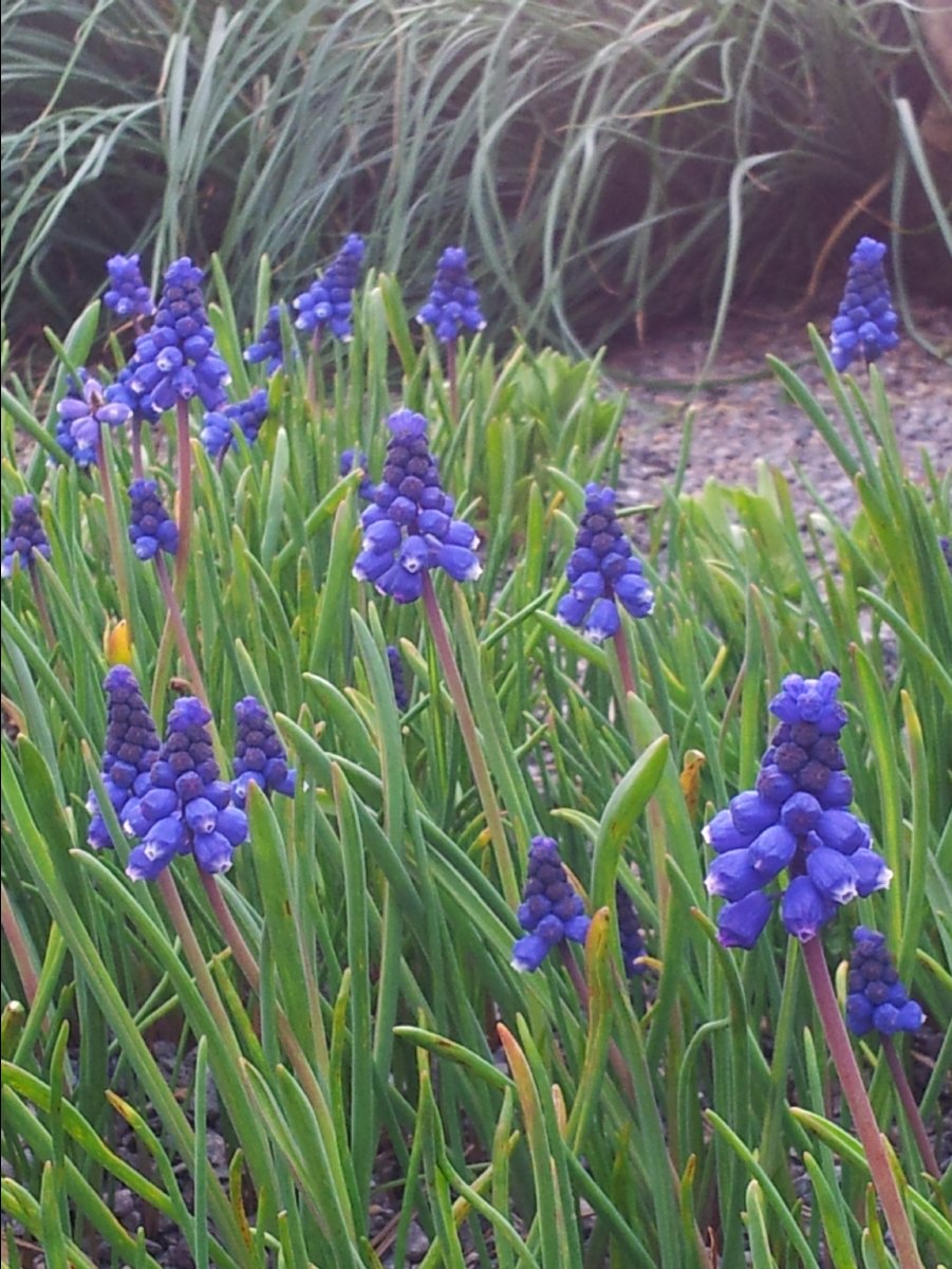 Kew_Garden096