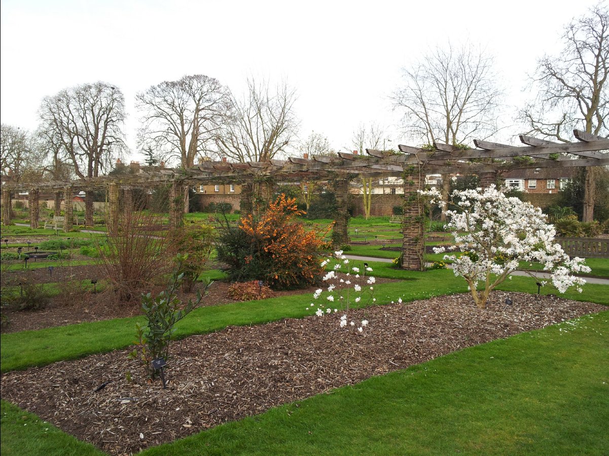 Kew_Garden099
