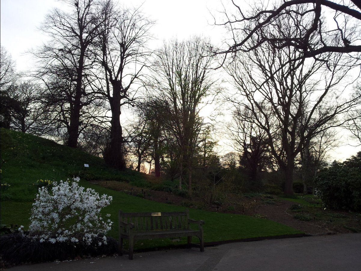 Kew_Garden100