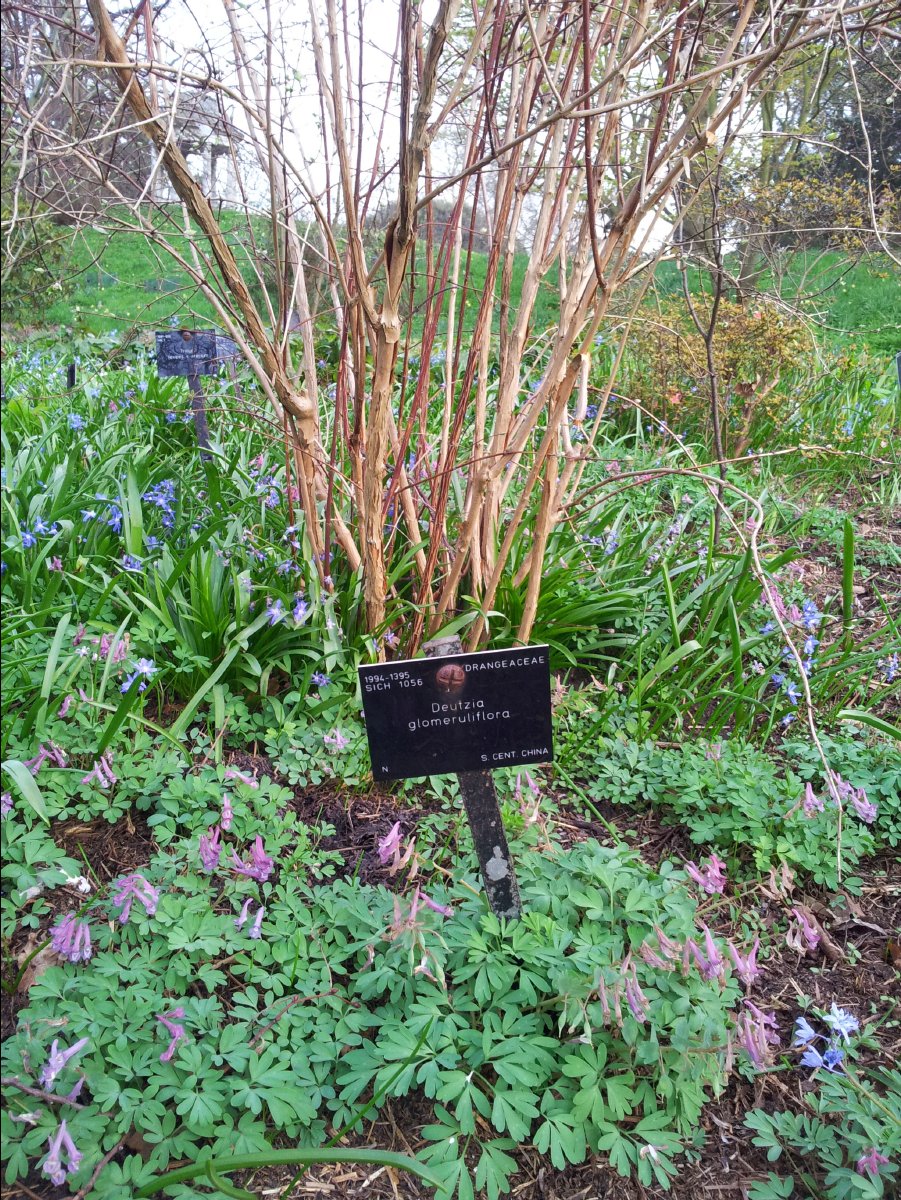 Kew_Garden102