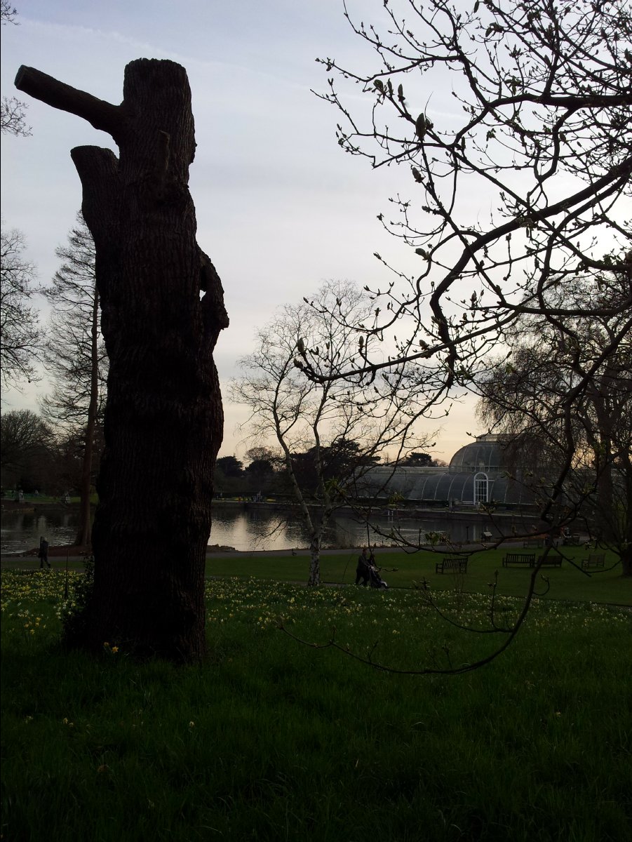 Kew_Garden106