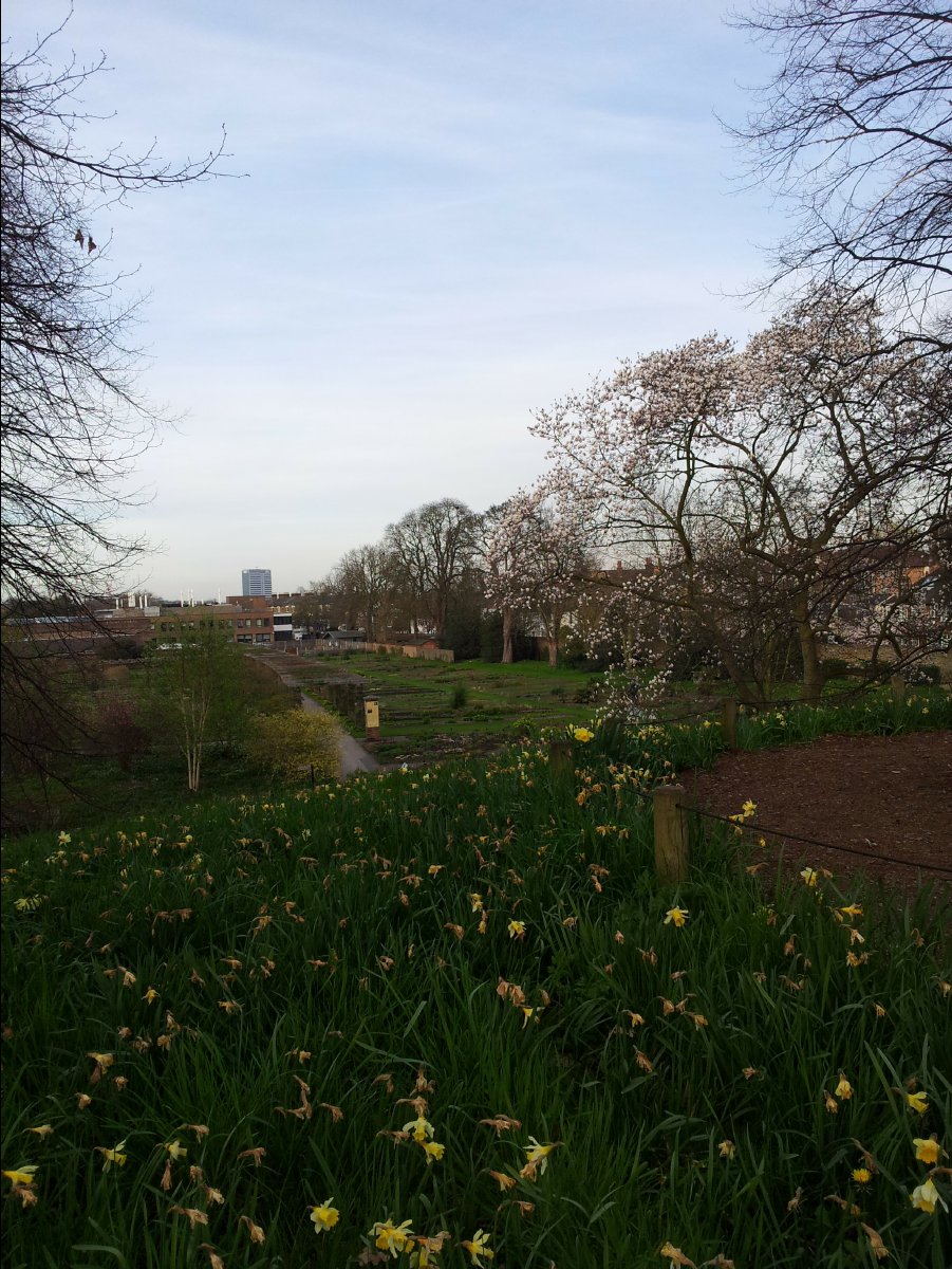 Kew_Garden108