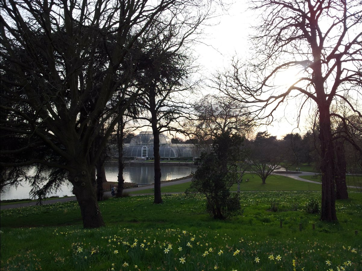 Kew_Garden109