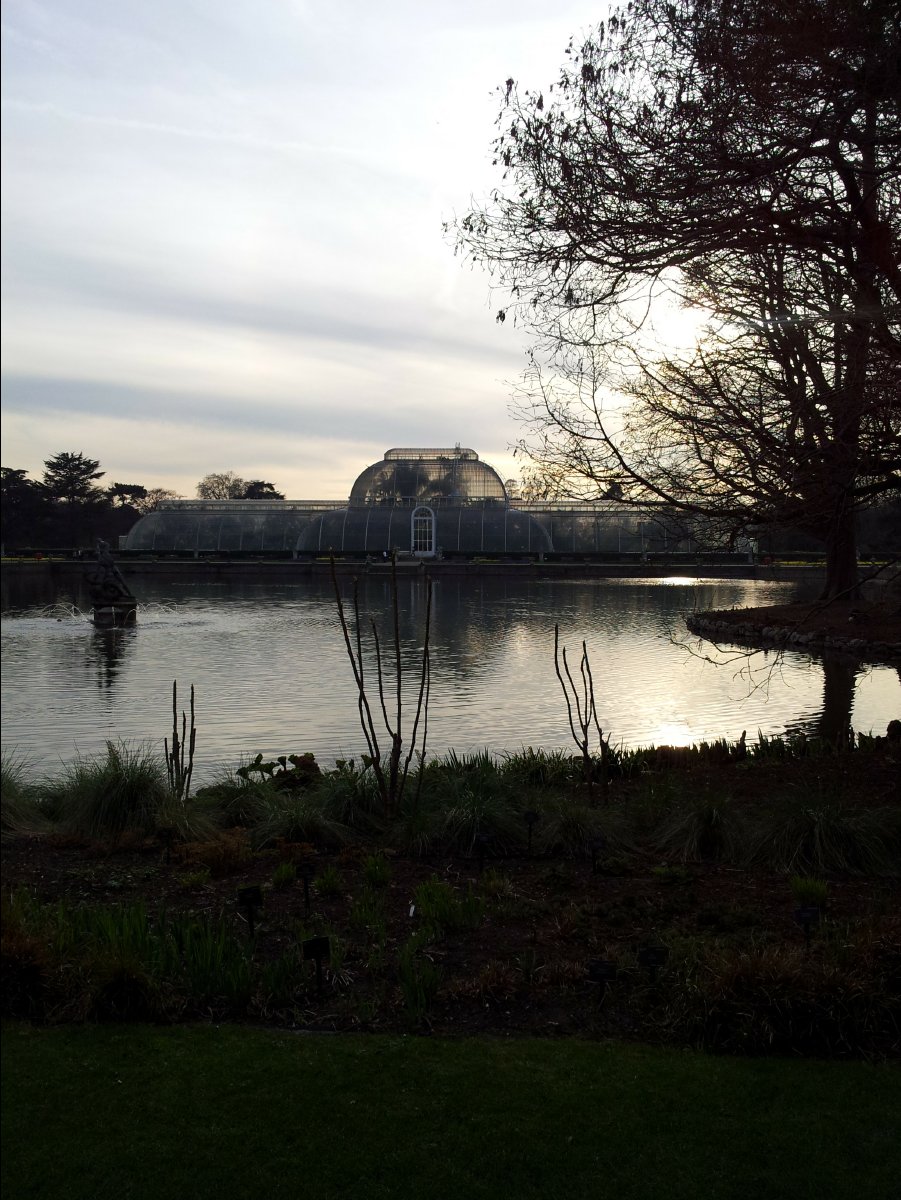 Kew_Garden111