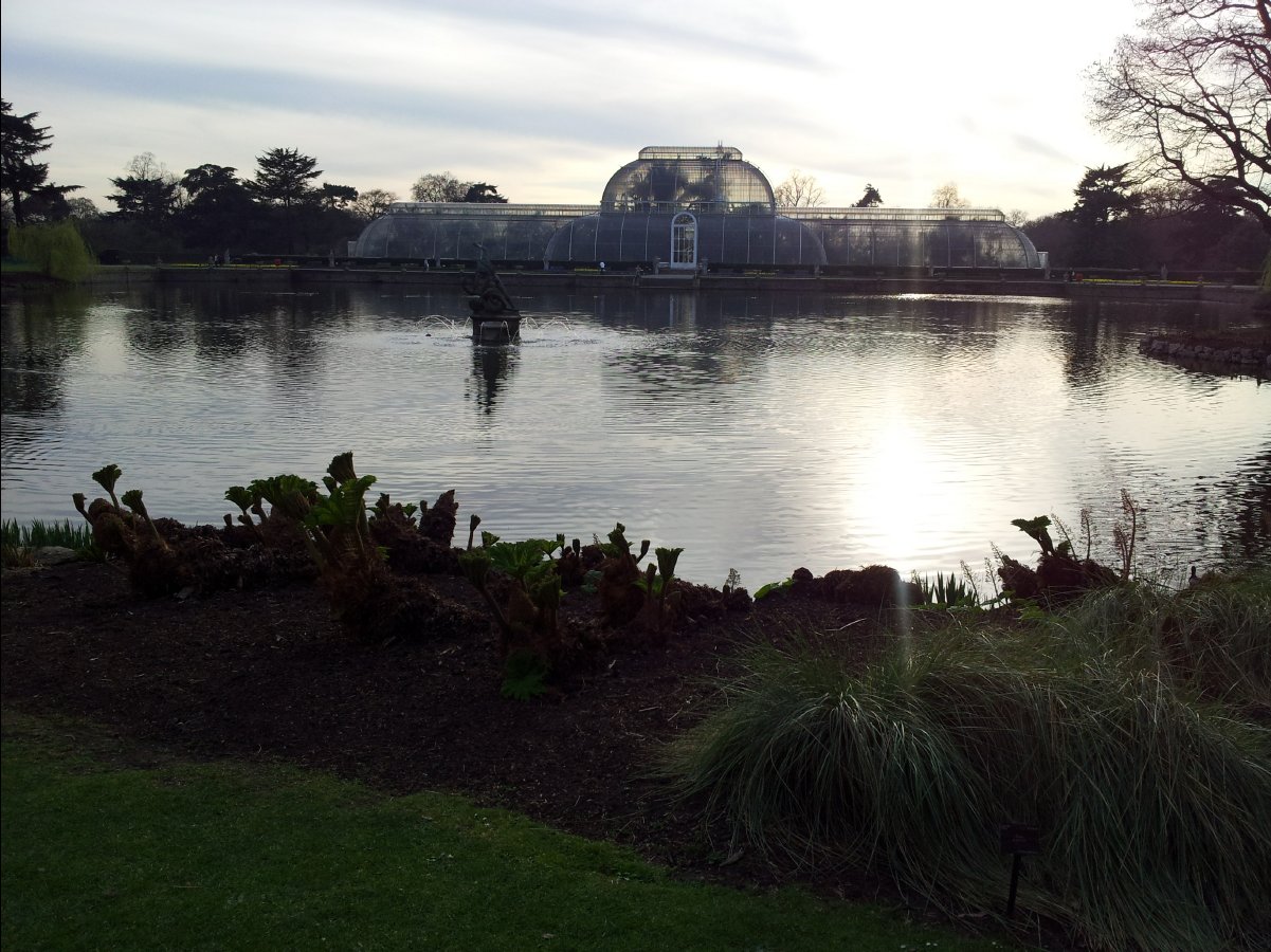 Kew_Garden112