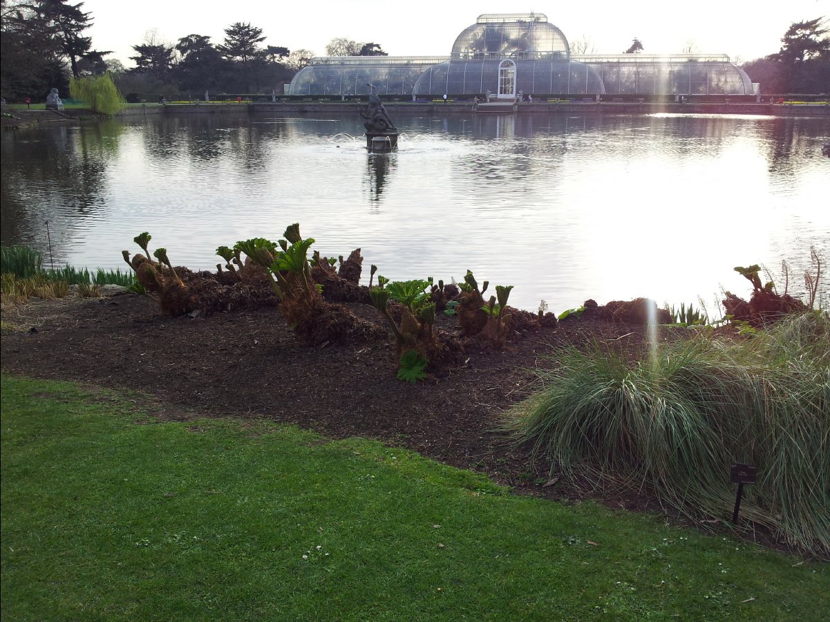 Kew_Garden113