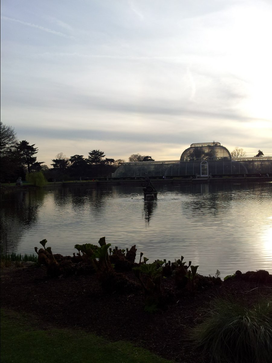 Kew_Garden114