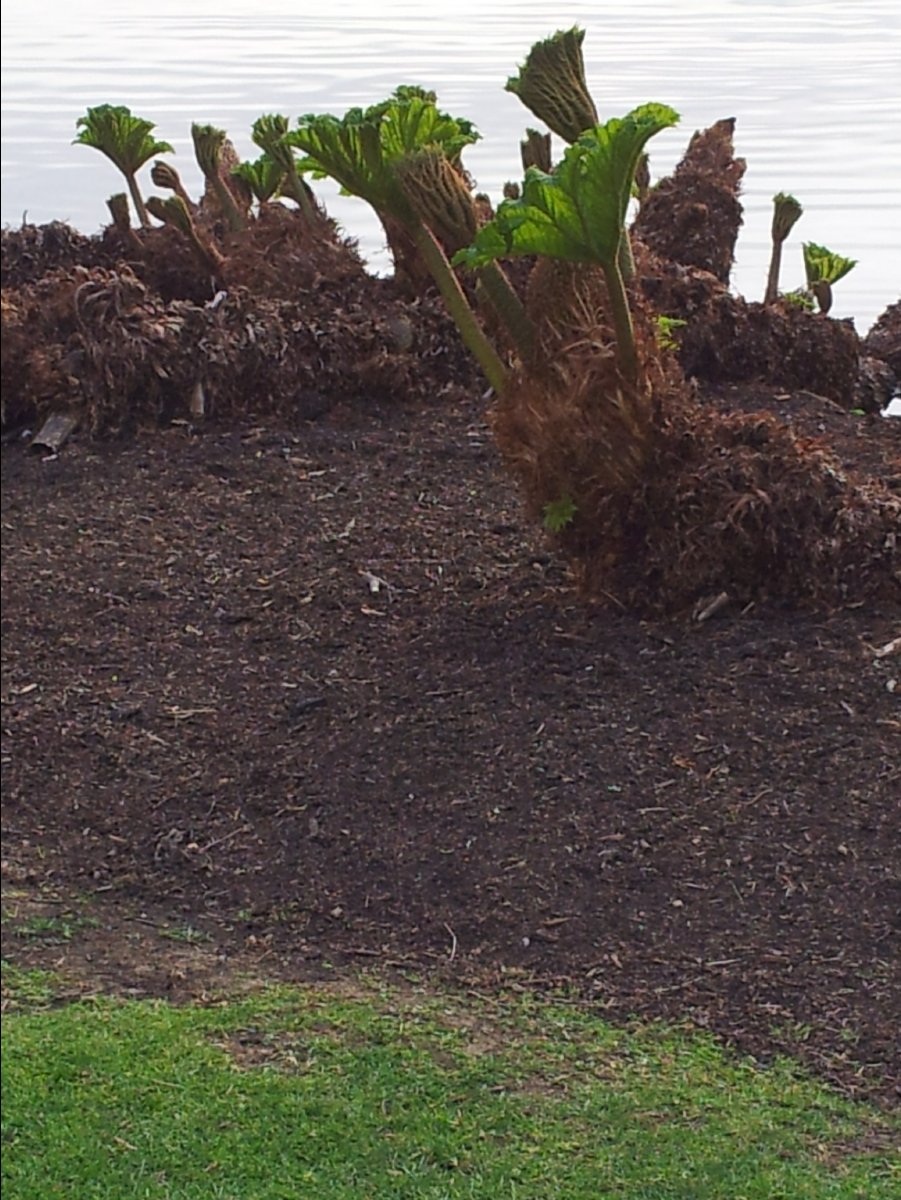 Kew_Garden115
