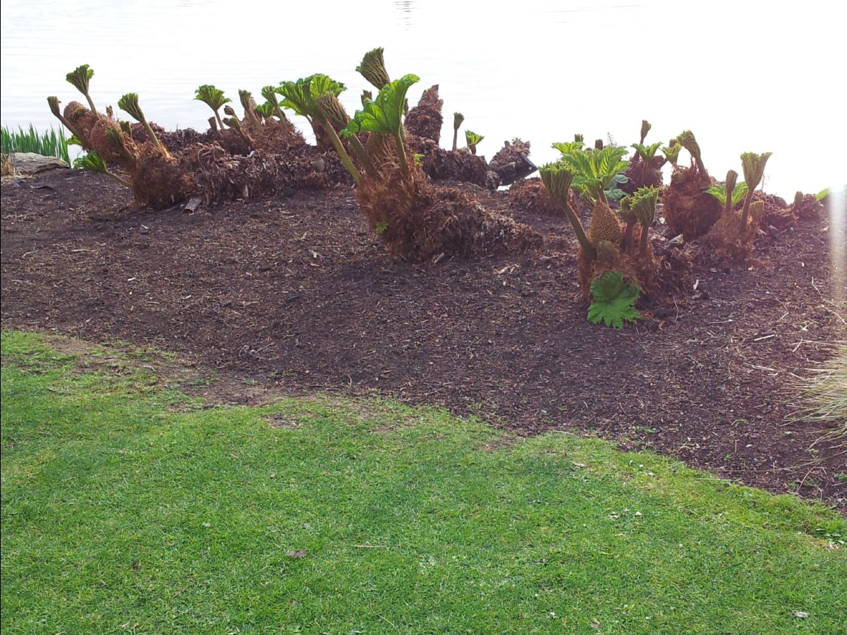 Kew_Garden116