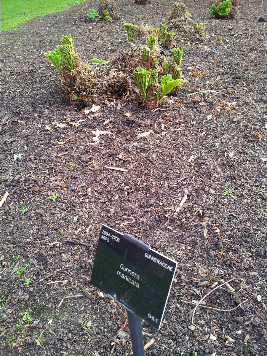 Kew_Garden118