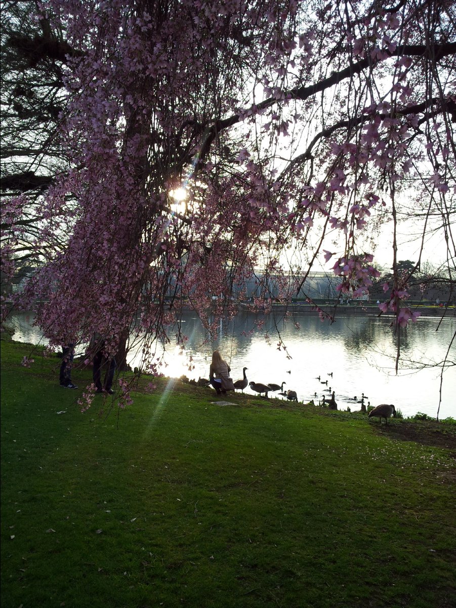 Kew_Garden120