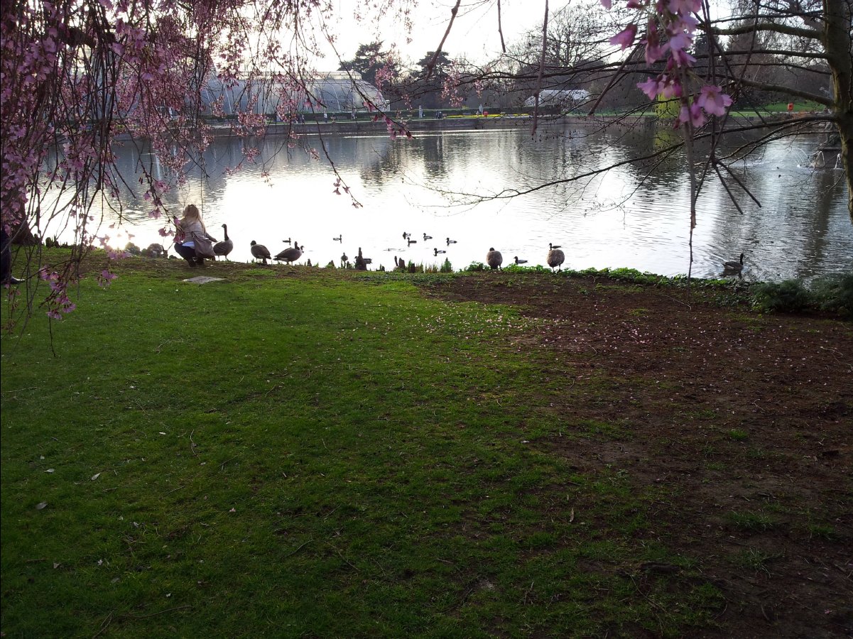 Kew_Garden122