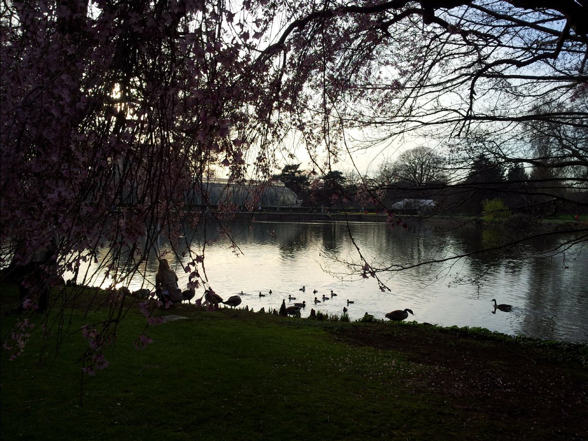 Kew_Garden123