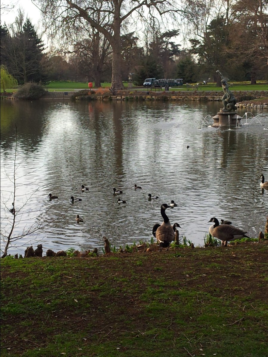 Kew_Garden124