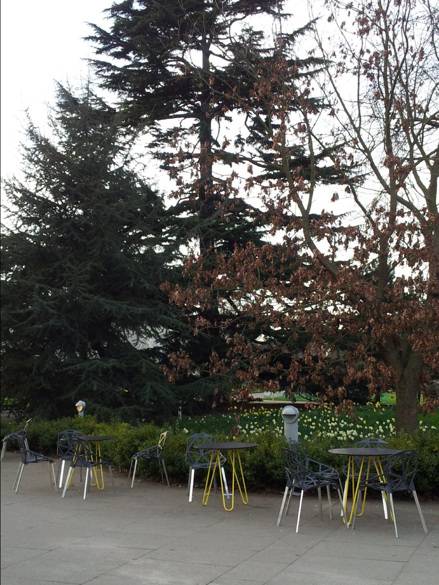 Kew_Garden126