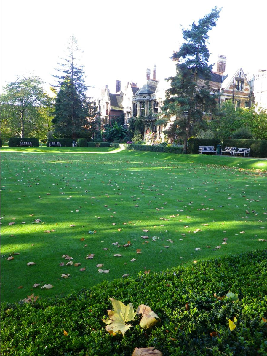 Pembroke13