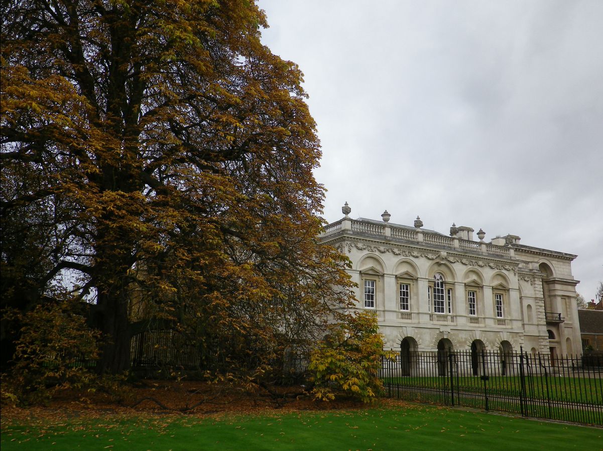 SenateHouse02