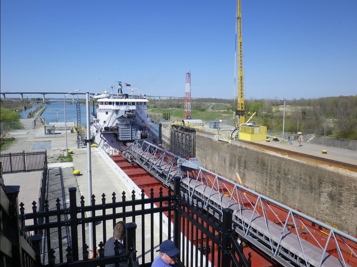 Toronoto14