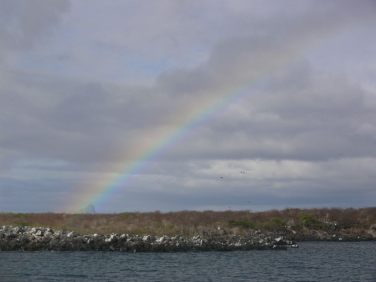 Rainbow05