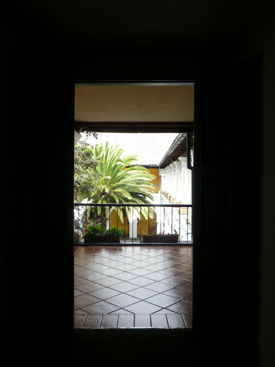 Museum24